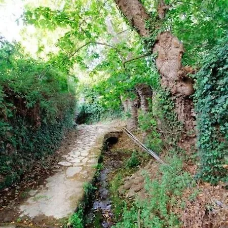Villa River Stone *